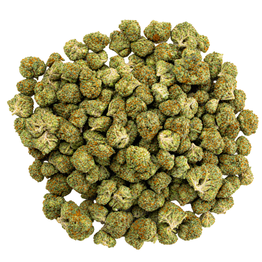 GELATO 41 - 28 GRAMS - HYBRID